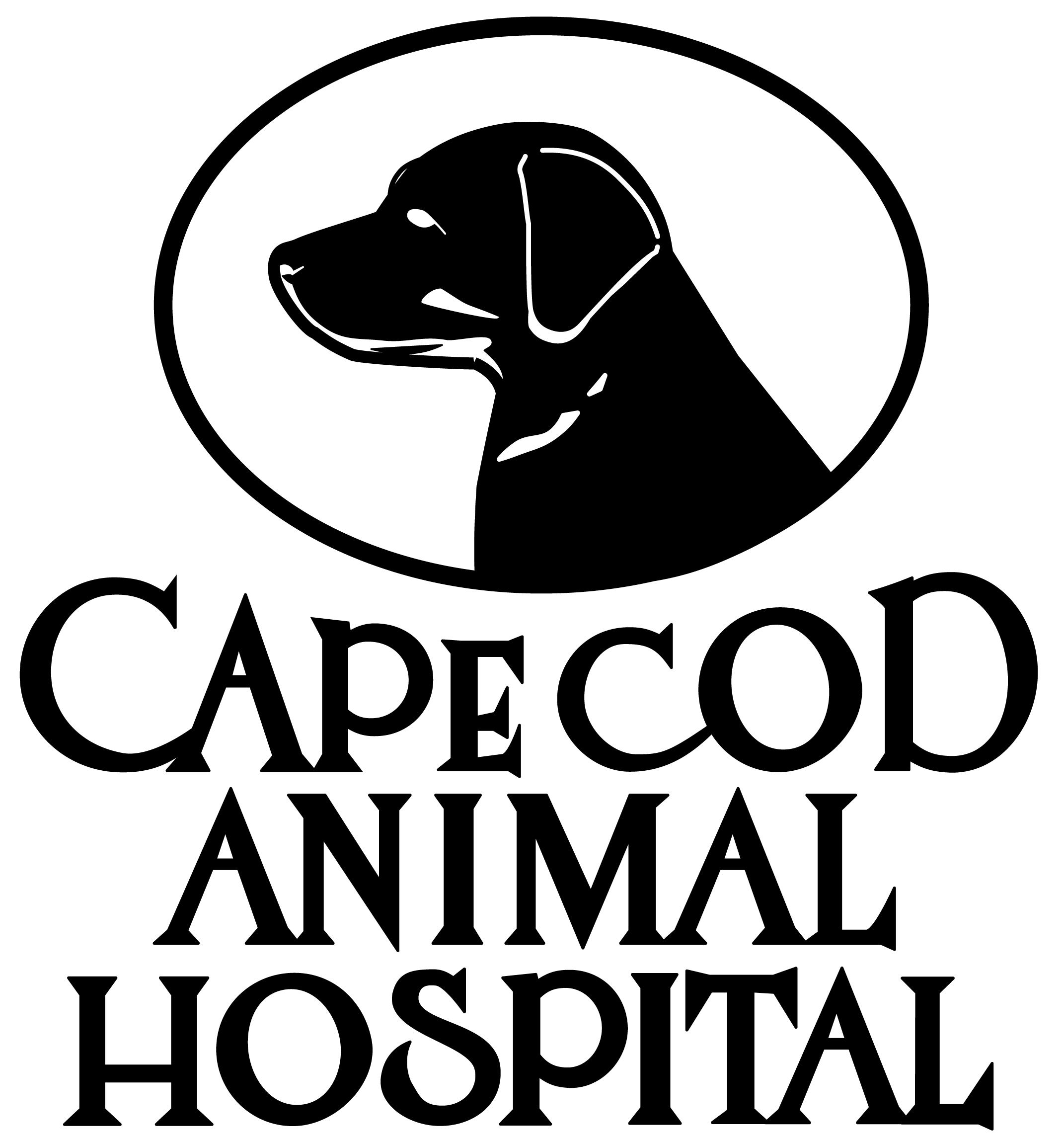Cape Cod Animal Hospital logo